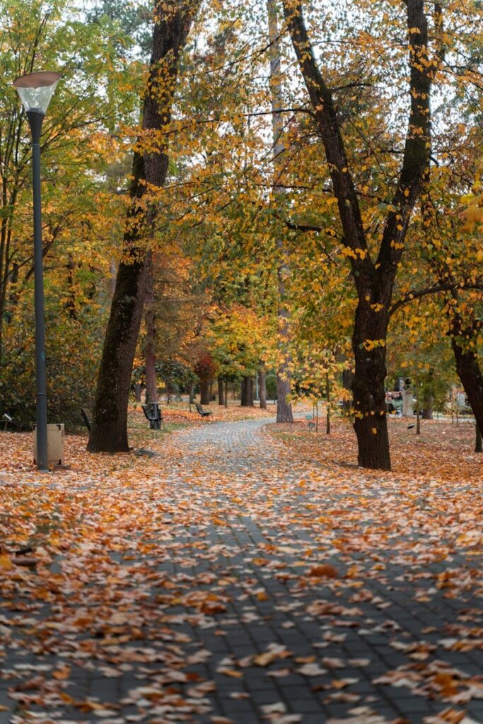 autunno