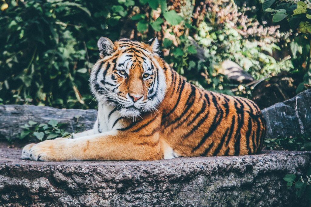 giornata allo zoo
