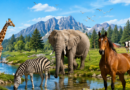Gli animali in inglese